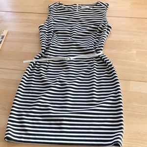 Calvin Klein Classic Sheath 12